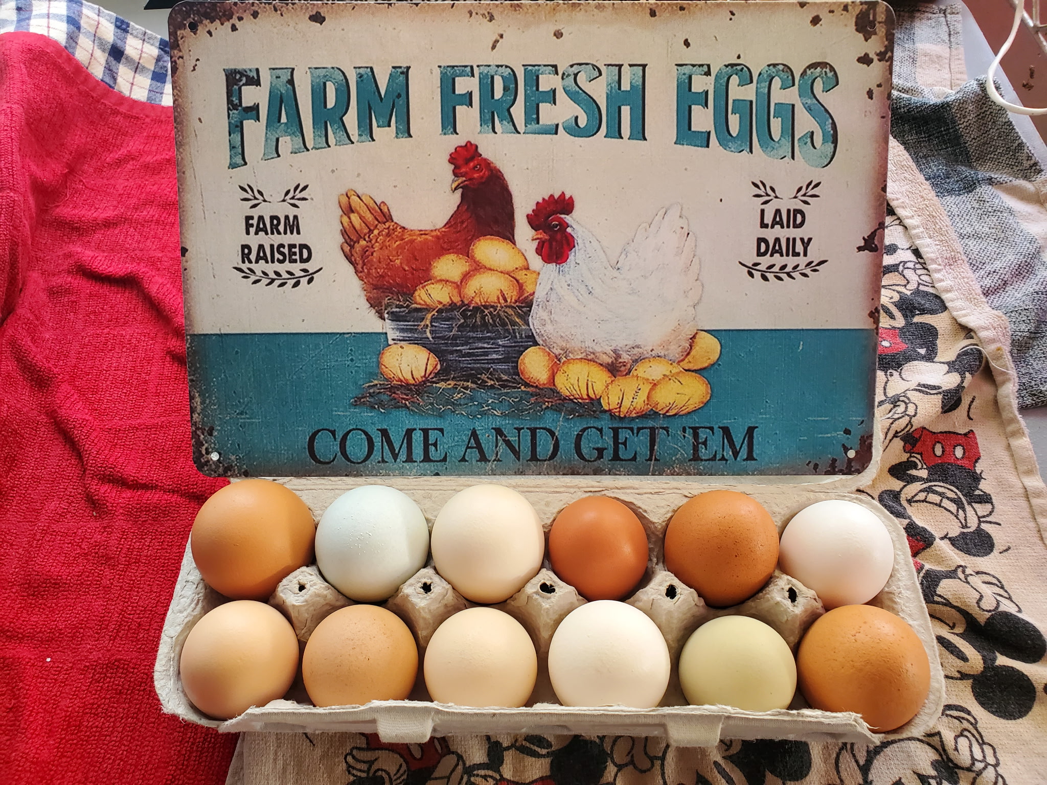 Farm fresh eggs